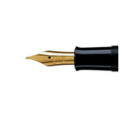 Pelikan Classic M200 Nib - Pelikan Pens Online Shop